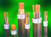 Plastic Power Cable with Rated Voltage of 0.6/1kV